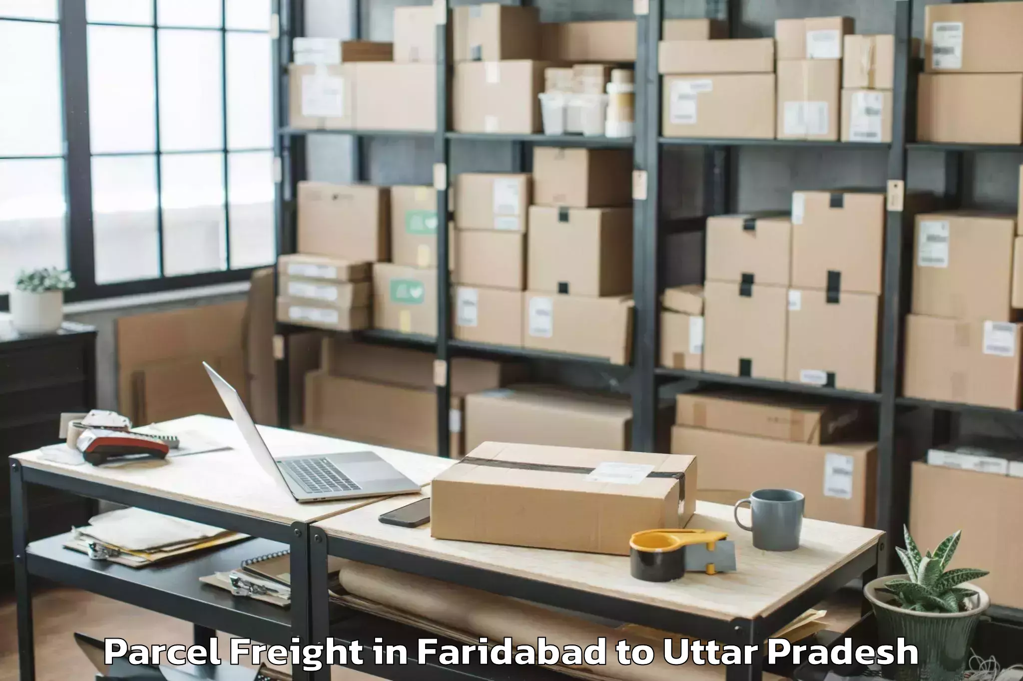 Book Faridabad to Kurebhar Parcel Freight